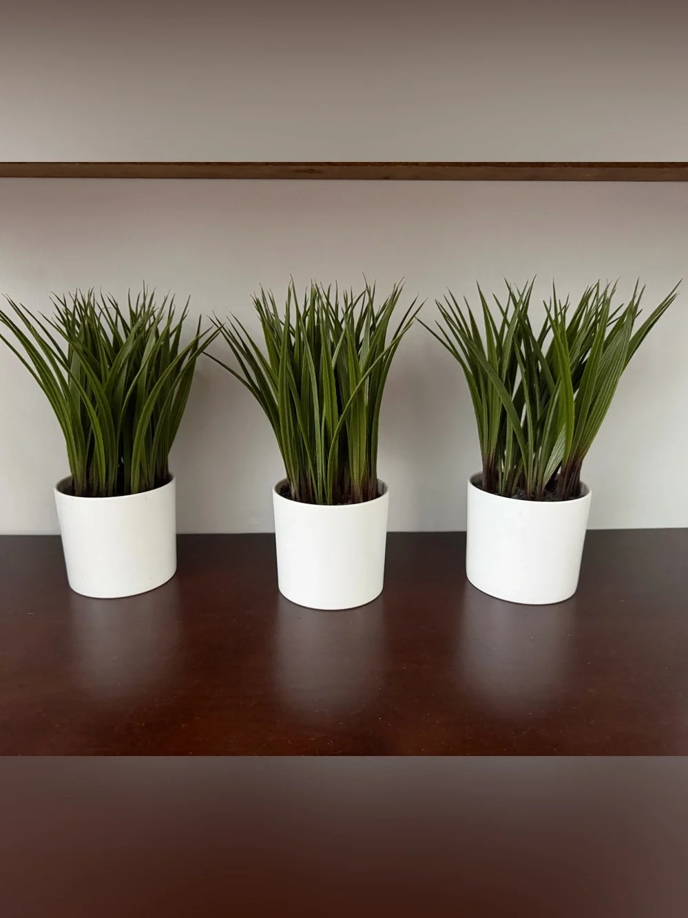 3x Fake Green Grass Plants in White Pot - Home Accents